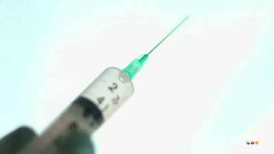 "Alexandra Borges": vacina da BCG pode ser a nova arma contra a Covid-19 - TVI