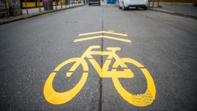 Rede de ciclovias é essencial mas não chega para tornar a bicicleta uma solução de mobilidade - TVI