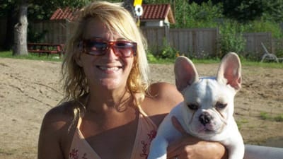 Bulldog francês mata a própria dona em Chicago - TVI