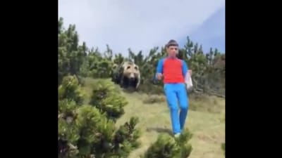 Vídeo mostra urso a perseguir criança nas montanhas em Itália - TVI