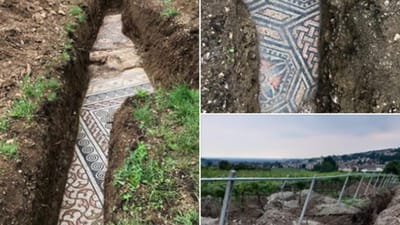 Chão em mosaico romano encontrado numa vinha no norte de Itália - TVI