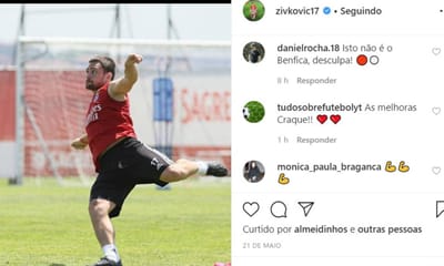 Adeptos pedem desculpa a Weigl e Zivkovic: «Isto não é o Benfica» - TVI