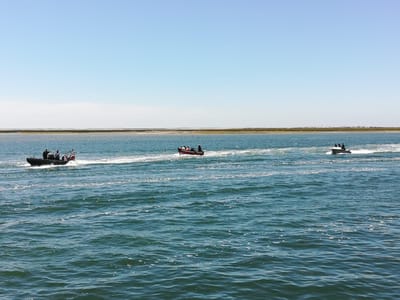 Barco com sete marroquinos intercetado na Ria Formosa, em Olhão - TVI