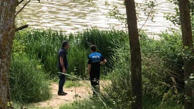 Autoridades espanholas procuram crocodilo "muito agressivo" no rio Douro - TVI