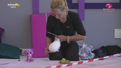 Teresa rebenta os balões no quarto - Big Brother