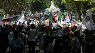 SOS Racismo acusa Chega de promover o contrário do desfile para negar o racismo - TVI