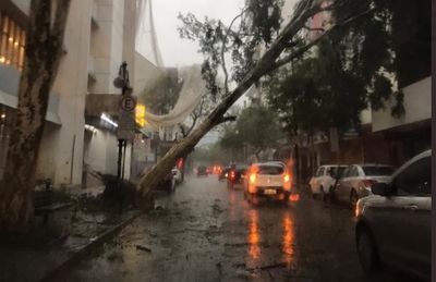 Ciclone e tempestades em Santa Catarina no Brasil fazem pelo menos três mortos - TVI