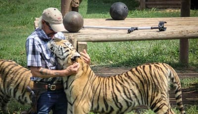 Polícia chamada a jardim zoológico de Joe Exotic por suspeitas de restos mortais humanos - TVI