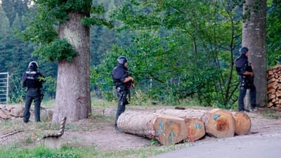 Alemanha: homem desarma polícias e desaparece com equipamento de combate na Floresta Negra - TVI