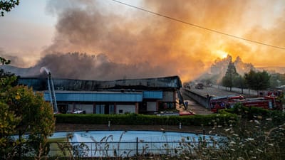 Incêndio em zona industrial de Castelo de Paiva provoca danos avultados em oito empresas - TVI