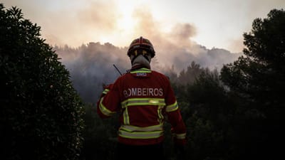 Fogo devasta área de mato e eucaliptal em Vila Nova de Milfontes - TVI