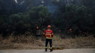Mais de 1.100 operacionais combatem cinco maiores fogos em Portugal - TVI