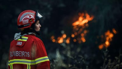Cerca de 800 fardos de palha arderam no concelho de Nisa - TVI