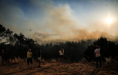 Interior Norte e Centro com 40 concelhos em risco máximo de incêndio - TVI