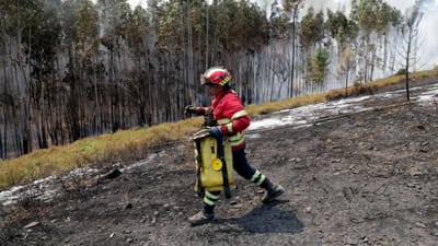Casal detido por atear cinco incêndios florestais na Guarda - TVI
