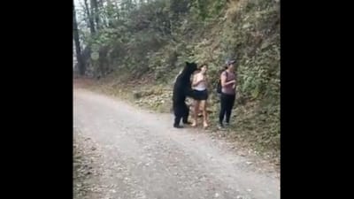 E se fosse surpreendido por um urso? Esta mulher tirou uma selfie - TVI