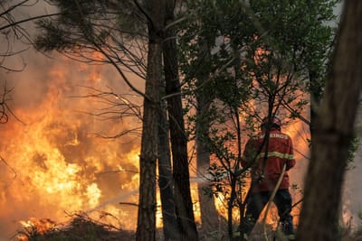 Incêndio de Oleiros já fez um morto e sete feridos e queimou várias casas - TVI