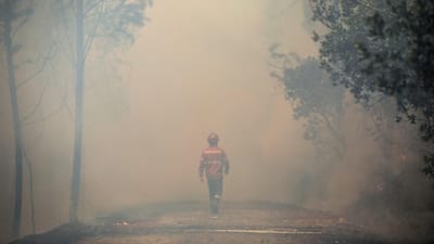 PJ deteve operário de serração suspeito de atear três incêndios em Mondim de Basto - TVI
