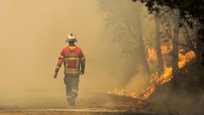 Autarca de Chaves suspeita de mão criminosa no incêndio em Vila Verde da Raia - TVI