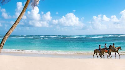 Escritório na praia: ilha paradisíaca oferece visto a quem está em teletrabalho - TVI