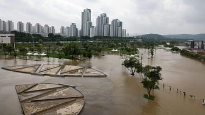 Chuvas fortes fazem 14 mortos e 13 desaparecidos na Coreia do Sul - TVI