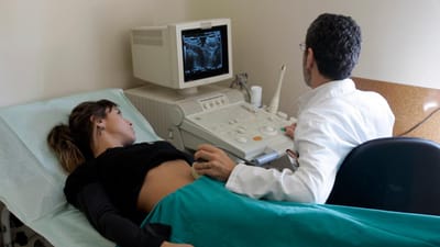 Flora intestinal dos bebés prematuros determinada dentro do útero - TVI