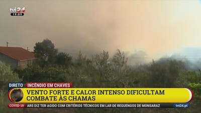 Incêndio que ameaçou casas em Chaves começou com "três ignições distintas" - TVI