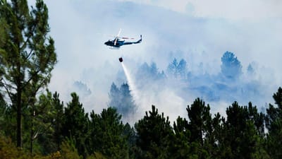 Autoridades suspeitam de mão criminosa no incêndio das Serras de Aire e Candeeiros - TVI