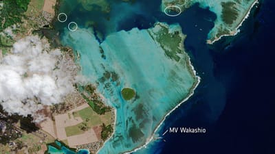 Imagem da Agência Espacial Europeia mostra dimensão do desastre ambiental nas Maurícias - TVI