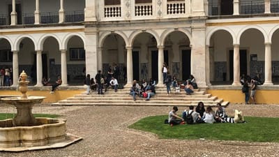 Falta de professores em Portugal: Universidade de Évora abre novos cursos para formar docentes - TVI