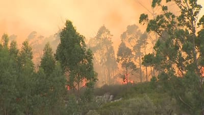 Combate ao fogo no parque natural em Porto de Mós “evolui favoravelmente” - TVI