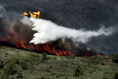 Mais de 180 bombeiros e dez meios aéreos combatem incêndio na Sertã - TVI