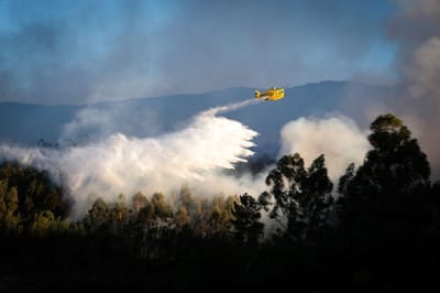 Incêndio de Oliveira de Frades entrou em fase de rescaldo e consolidação - TVI