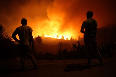 Dois irmãos detidos por suspeitas de atearem pelo menos oito incêndios em Águeda - TVI