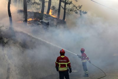 Risco de incêndio: proteção civil põe distritos de Beja e Faro em alerta vermelho - TVI