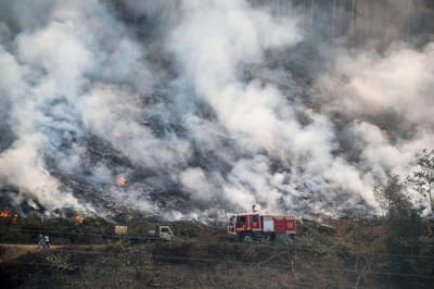 Proteção Civil estima área ardida de dois mil hectares no fogo de Oliveira de Frades - TVI