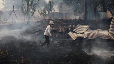 Incêndio em Proença-a-Nova causou prejuízos de sete milhões de euros - TVI