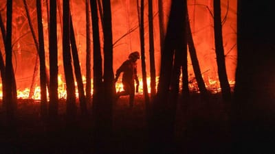 Mais de 30 concelhos em risco máximo de incêndio - TVI