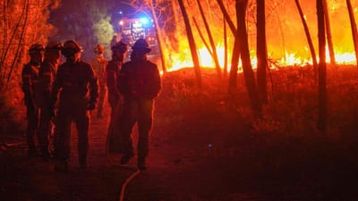 Celorico de Basto: 77 bombeiros e quatro meios aéreos combatem chamas - TVI