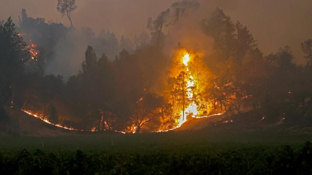 Incêndio em região vinícula na Califórnia