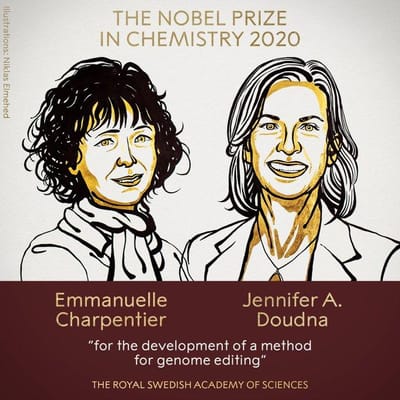 Nobel da Química para Emmanuelle Charpentier e Jennifer A. Doudna - TVI