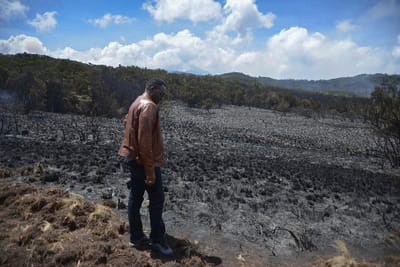 Tanzânia pede helicópteros e aviões para ajudar a combater incêndio no Kilimanjaro - TVI