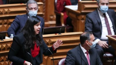 PAN: Inês de Sousa Real não exclui candidatura à liderança - TVI