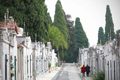 Maioria dos cemitérios abertos mas com restrições e proibições - TVI