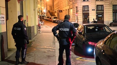 Governo austríaco ordena encerramento de "mesquitas radicais", após ataque em Viena - TVI