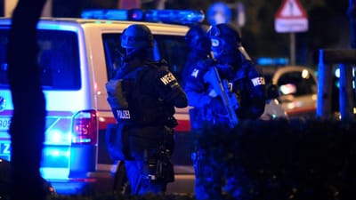 Atacante morto no tiroteio em Viena era "um simpatizante" do Estado Islâmico, diz ministro - TVI