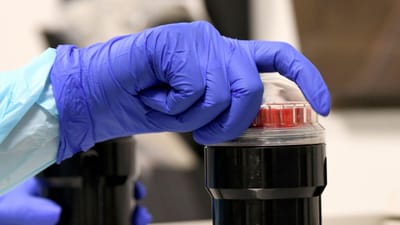 Covid-19: polícia detém farmacêutico suspeito de estragar centenas de doses de vacina - TVI
