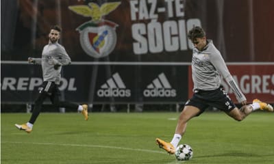 Benfica: Waldschmidt reintegrado e todos os testes negativos - TVI
