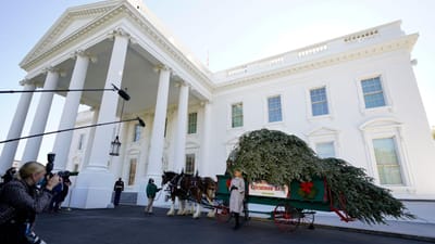 A árvore de Natal já chegou à Casa Branca - TVI