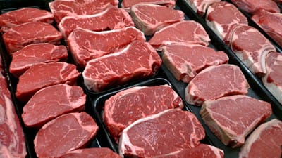 Helsínquia deixa de servir carne em eventos oficiais para reduzir pegada de carbono - TVI